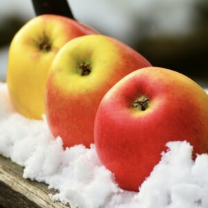markt-appels-sneeuw-winter