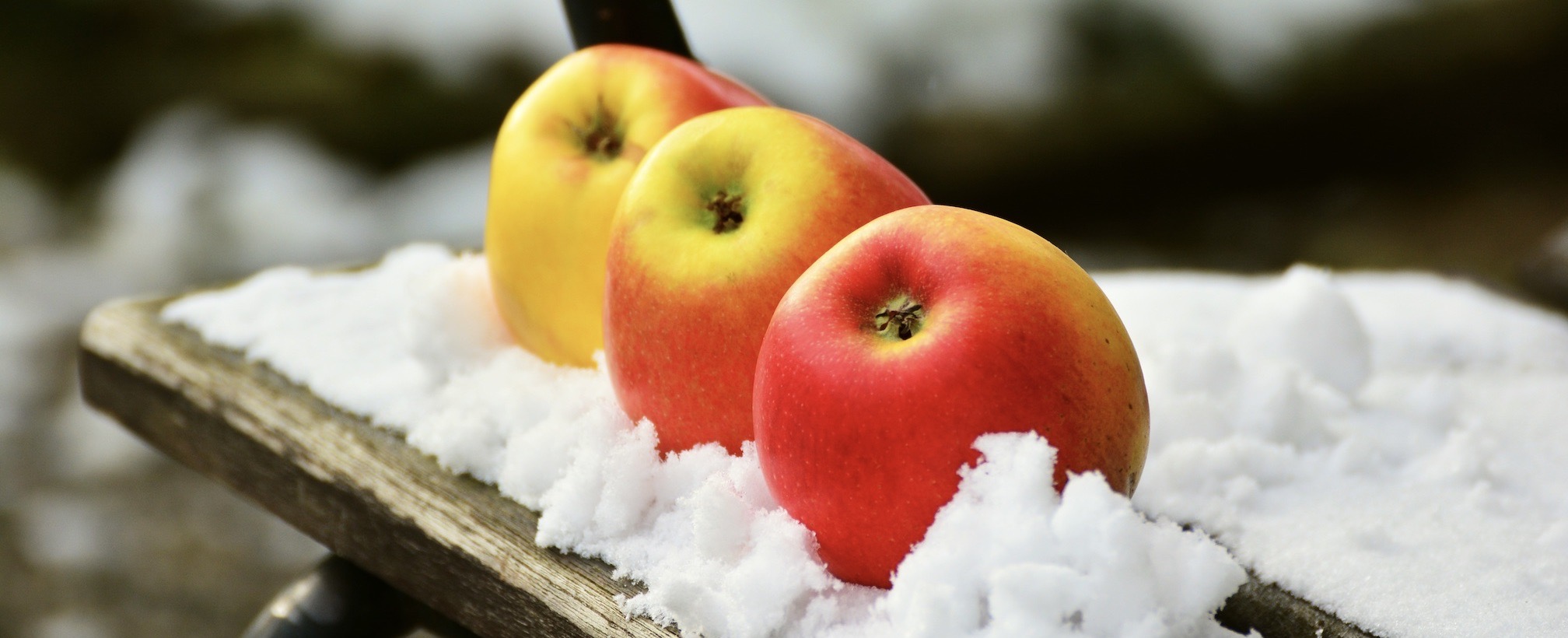 markt-appels-sneeuw-winter